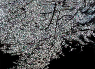 전통 공예와 현대 예술의 만남, 정직성, 202010, 자개, 나무에 삼베, 옻칠, 2020