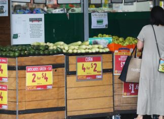호주인, 슈퍼마켓 년에 거의 1만달러 지출 Aussies are paying more for groceries than ever before. Picture NCA NewsWire Gaye Gerard.