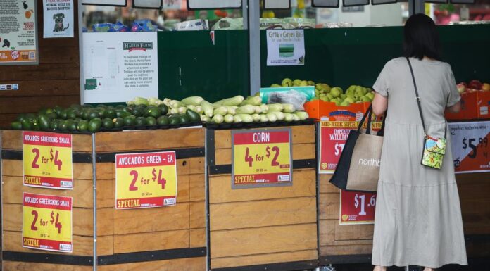 호주인, 슈퍼마켓 년에 거의 1만달러 지출 Aussies are paying more for groceries than ever before. Picture NCA NewsWire Gaye Gerard.