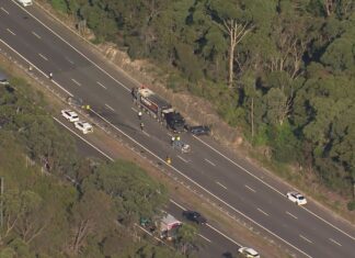 시드니 북부, 자동차와 트럭 충돌, 남성 1명 사망하고 노인 운전자 중태 A Ford is believed to have driven on the wrong lane and crashed head-on into two cars and a truck. (Nine)
