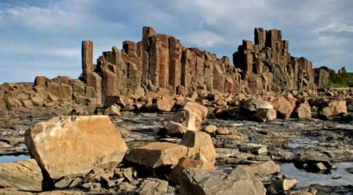 NSW 한 남성 사우스 코스트의 바위 난간에서 추락 A man has fallen to his death at Bombo Headland near Kiama (NSW Government)