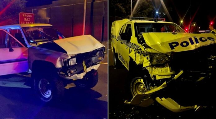 시드니 남성, 추격전 중 경찰차와 충돌 후 중태 The Toyota Hilux allegedly smashed into two police cars when it was stopped on Belmore Road. (NSW Police)