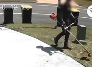 헌터밸리 남성, 잔디깎이로 호주 토종새 학살 A lawnmower killed a native bird with a whipper snipper. Picture Facebook