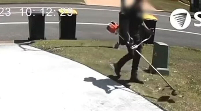 헌터밸리 남성, 잔디깎이로 호주 토종새 학살 A lawnmower killed a native bird with a whipper snipper. Picture Facebook