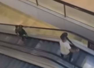 호주 총리, 본다이 범인을 막은 프랑스인 영주권 제공의사 밝혀 Damien Guerot help to stop Joel Cauchi's murderous rampage by defending him with a bollard at Bondi's Westfield. (Nine)