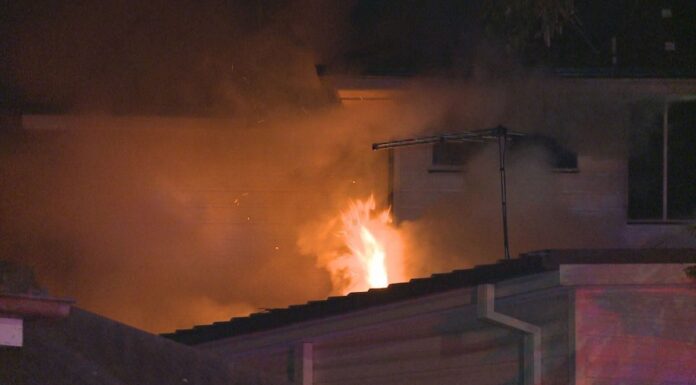 밤새 시드니 집에서 화재로 10명 탈출 Ten people escaped the house fire in Macquarie Fields. (9News)