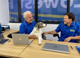 호주 경쟁소비자위원회, 반려동물 체인 PetO 60개 이상 신규 매장 및 동물병원 인수 승인 PetO co-founders Nick Greenhalgh and David Rowe. The brothers' business has expanded significantly with the acquisitions of more than 60 stores and vet clinics. (SuppliedPetO)