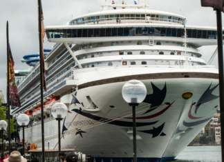 시드니 앞바다에서 유람선 승객 시신 발견 A search is underway after a person went overboard on the Pacific Adventure cruise ship. (Wolter Peeters)