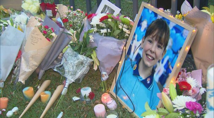 시드니 살인 용의자, 피해자 엄마가 범인이라 주장 A plane has landed at Newcastle Airport after circling it for hours with a reported landing gear malfunction. (9News)