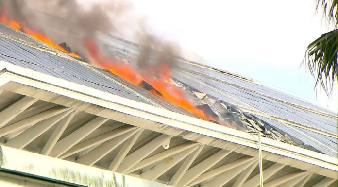시드니 아쿠아틱 센터에서 화재 발생, 2500명 이상 대피 Firefighters were called to the building at 12.15pm today after reports of black smoke coming from the building. (9News)