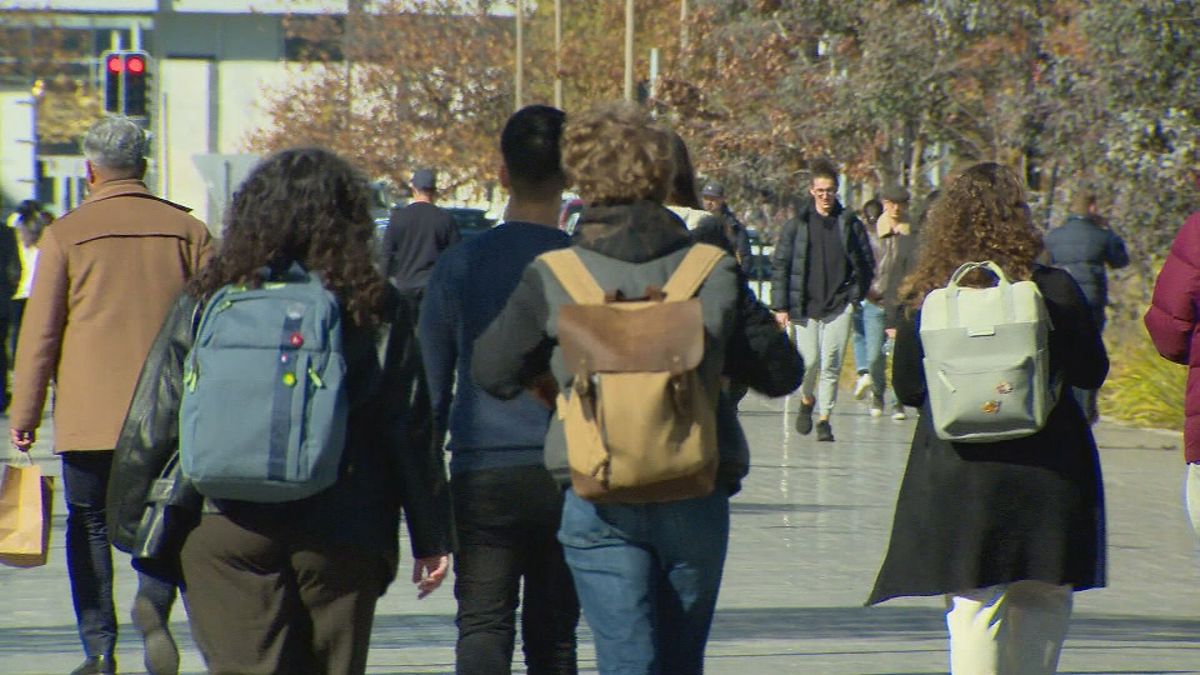 More than three million Australians are expected to have their student debt cut in the federal budget as a part of measures to ease cost of living pressures. (9News)
