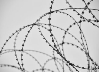 남호주에서 도주한 아동 강간범, NSW 체포 engin akyurt_unsplash