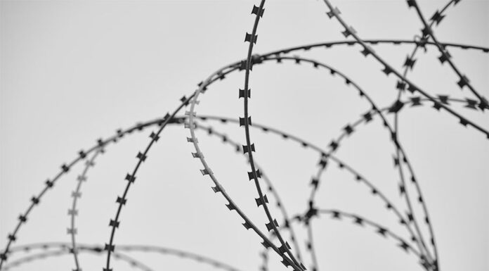 남호주에서 도주한 아동 강간범, NSW 체포 engin akyurt_unsplash