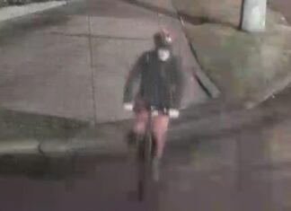 경찰, 멜버른 학교에 반유대주의 낙서 수사 CCTV 공개 This is the person who police believe may be able to assist with their investigation. (Victoria Police)