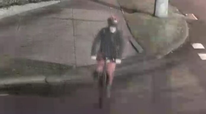 경찰, 멜버른 학교에 반유대주의 낙서 수사 CCTV 공개 This is the person who police believe may be able to assist with their investigation. (Victoria Police)