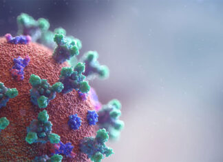 호주 독감, 코로나 19 바이러스 급증, 어린이 폐렴 비상 Fusion medical nimation_unsplash