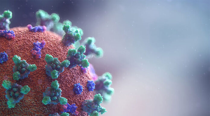 호주 독감, 코로나 19 바이러스 급증, 어린이 폐렴 비상 Fusion medical nimation_unsplash