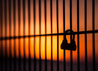 한인 남성, 시드니 라이델미어 쉐어하우스에서 칼부림 saad chaudhry_unsplash