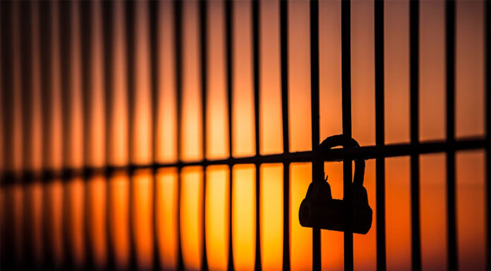 한인 남성, 시드니 라이델미어 쉐어하우스에서 칼부림 saad chaudhry_unsplash