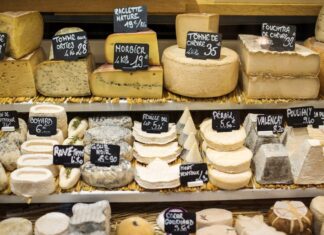 치즈, 당신의 행복한 노년에 도움이 되는 이유 Eating cheese is associated with better mental wellbeing. (Getty ImagesiStockphoto)