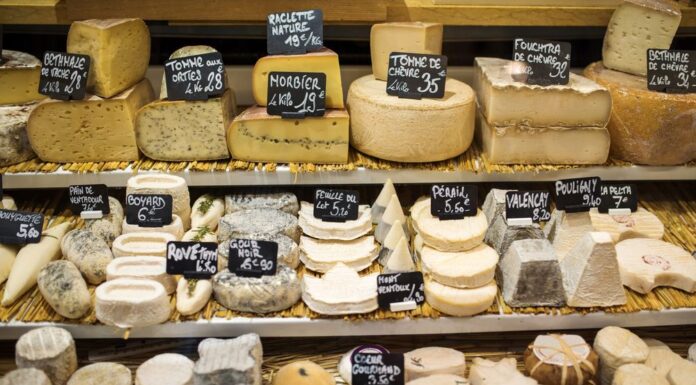 치즈, 당신의 행복한 노년에 도움이 되는 이유 Eating cheese is associated with better mental wellbeing. (Getty ImagesiStockphoto)