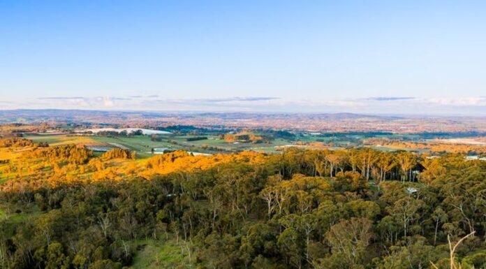 NSW 한 여성, 남자친구에게 잔인한 가정폭력에 생명위협느껴 The charges were heard in Orange Local Court. (DNSW)