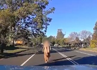 시드니 도로에서 차 앞에 누워있는 여성 영상 포착, 사기 시도로 의심 Dashcam footage posted to Reddit has captured the interaction at Quakers Hill in the city's north-west last week. (Reddit)