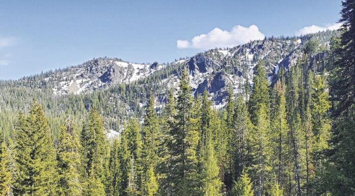 블루마운틴, 발견된 인간 유골, 실종된 배낭여행객의 유골로 확인 The three national forests in the Blue Mountains —Jayson JacobyBaker City Herald, File