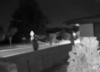 NSW 무장강도, 피자배달부 대상으로 범행 저질러 Two men are sought after a pizza delivery driver was robbed in Wagga Wagga. (NSW Police)