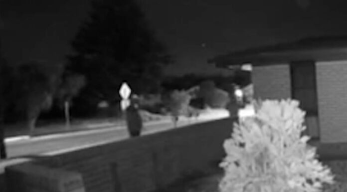 NSW 무장강도, 피자배달부 대상으로 범행 저질러 Two men are sought after a pizza delivery driver was robbed in Wagga Wagga. (NSW Police)