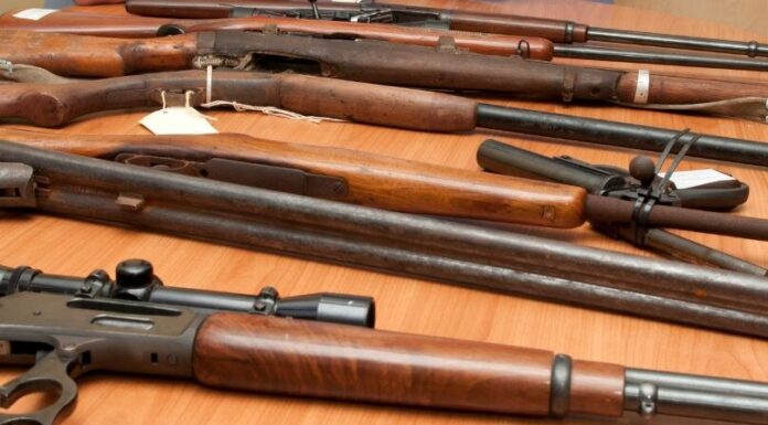 정신병력, 폭력범 총기소지 불허 경찰 결정에 민사법정은 총기 면허 부여 허용 Gun laws differ in each of Australia's states and territories.(Supplied Tasmania Police)