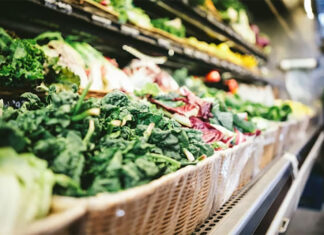 노동당 집권 2년차 물가고에 호주 식료품 지출 감소 scott warman_unsplash