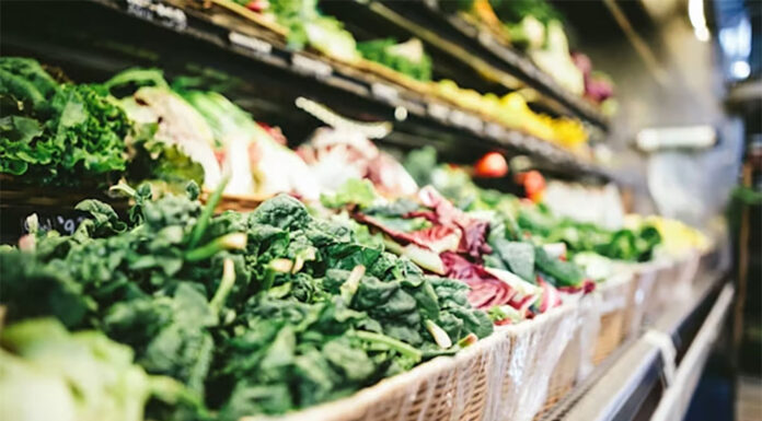 노동당 집권 2년차 물가고에 호주 식료품 지출 감소 scott warman_unsplash