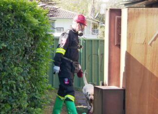 NSW 10대 소년, 헌터 밸리에서 주택 화재로 사망 A pillow which caught fire is being blamed for the house fire. (Nine)