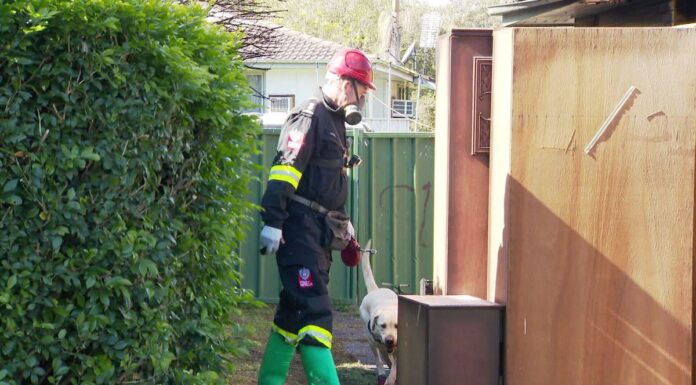 NSW 10대 소년, 헌터 밸리에서 주택 화재로 사망 A pillow which caught fire is being blamed for the house fire. (Nine)