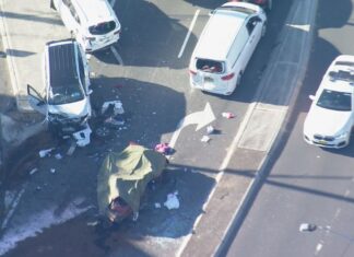 시드니 남성, 다중 차량 추돌 사고 일으켜 A woman died and two other people were seriously injured in the crash. (Nine)