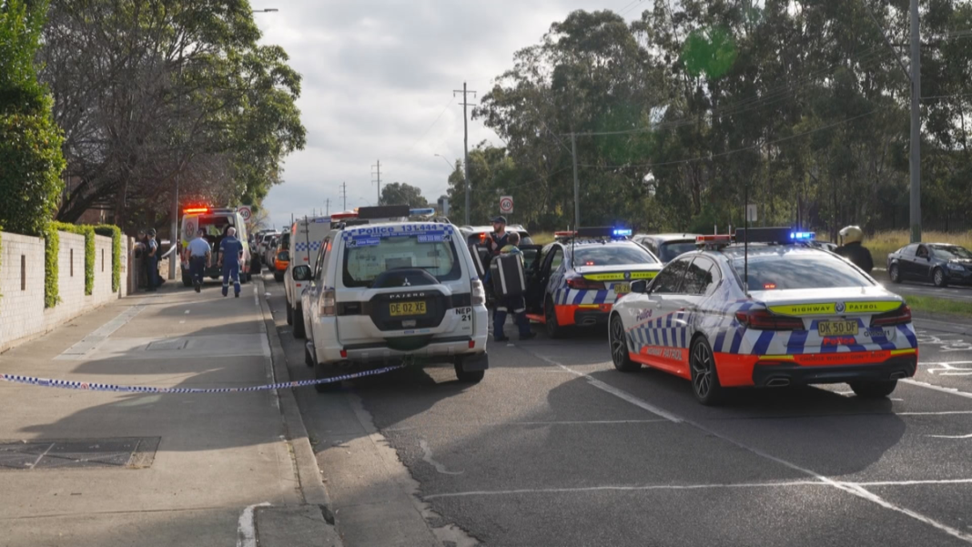 A woman has died after a stabbing in Kingswood, a suburb of Penrith in Sydney's west. (9News)