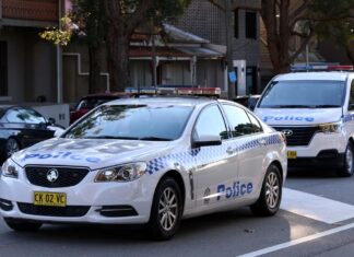 NSW 3분꼴로 경찰에 신고되는 가정폭력 강력대처 A man has been charged after he allegedly threatened a woman with a knife and stabbed the family dog while two children were in the house. Picture NCA NewsWire Nicholas Eagar