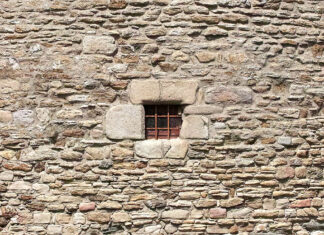 시드니 라로르 파크 일요일 친부 방화 자녀 3명 희생 michael jasmund_jasmund_unsplash