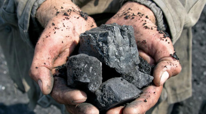 호주 부동산 개발업체 Dexus, 15억 달러 손실 기록, 부동산으로 ASX 수익 감소 Yancoal withheld a dividend with an eye to major purchases in Queensland; Shareholders were not happy. Picture iStock