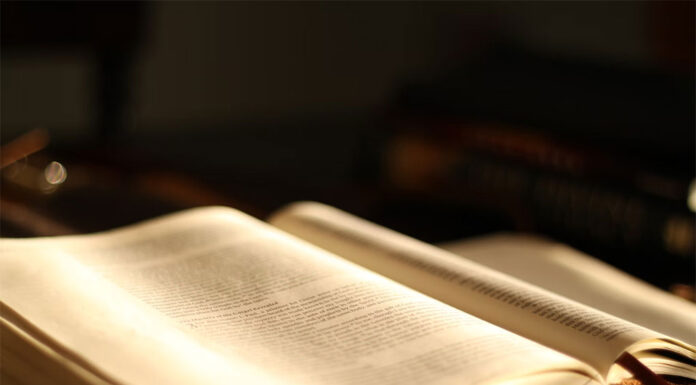 시드니 일반 공립고교 HSC 평균성적 일취월장 Brody Childs_unsplash