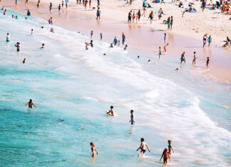 아직은 겨울인데 이상난동 호주 annie spratt_anniespratt_unsplash