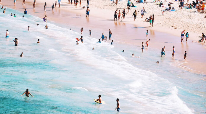 아직은 겨울인데 이상난동 호주 annie spratt_anniespratt_unsplash