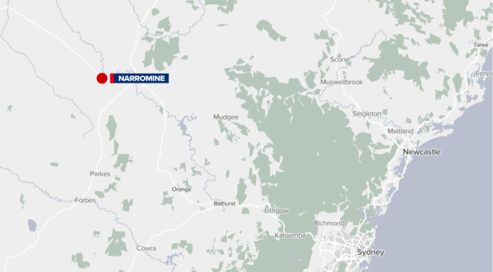 NSW 나로민에서 경찰차를 훔친 남성 수배 openstreetmap_contributors