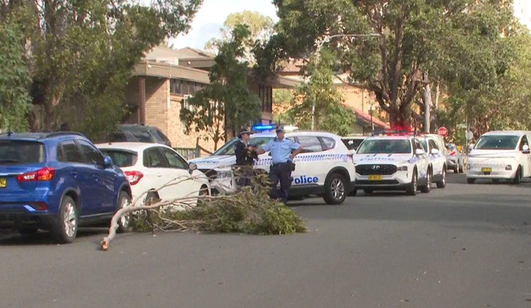 A woman has died after being hit by a tree branch in Liverpool. (Nine)