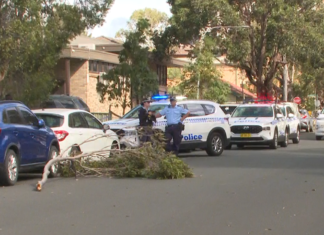 시드니 남서부에서 한여성 쓰러지는 나무에 깔려 사망 A woman has died after being hit by a tree branch in Liverpool. (Nine)