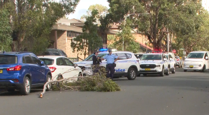 시드니 남서부에서 한여성 쓰러지는 나무에 깔려 사망 A woman has died after being hit by a tree branch in Liverpool. (Nine)