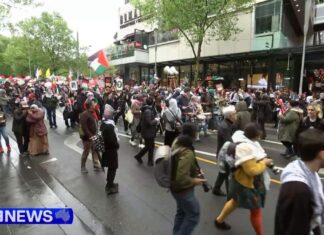 경찰, 시드니, 멜버른 시위에서 테러 깃발의 존재 여부 조사 Organisers of the pro-Palestine rally told media they were not affiliated with the Hezbollah flag wavers. (Nine)