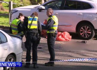 활동 중이던 모델, 멜버른 공원에서 차에 치여 사망 Sunbury man Connor Mathiasson was allegedly behind the wheel and had cannabis in system at the time of the crash. (Nine)