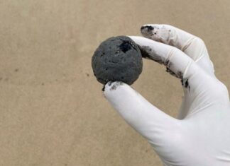 해변가 떠내려온 수백개 검은 공으로 시드니 쿠지 비치 폐쇄 .Mysterious ball-shaped debris has washed up on Coogee Beach. (Randwick City Council )